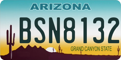 AZ license plate BSN8132