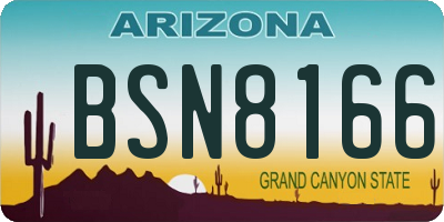 AZ license plate BSN8166