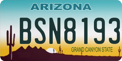 AZ license plate BSN8193