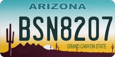 AZ license plate BSN8207