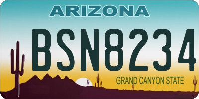 AZ license plate BSN8234