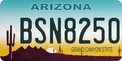 AZ license plate BSN8250
