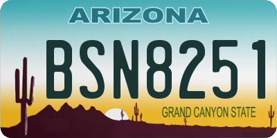 AZ license plate BSN8251