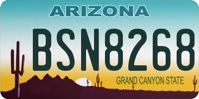 AZ license plate BSN8268