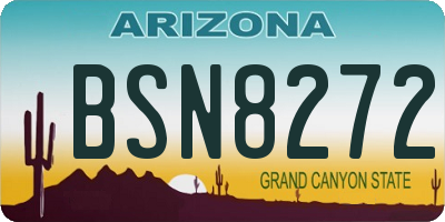 AZ license plate BSN8272