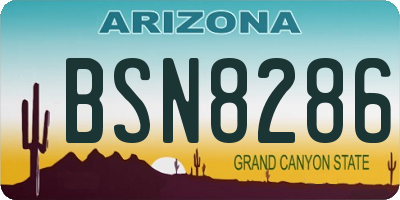 AZ license plate BSN8286