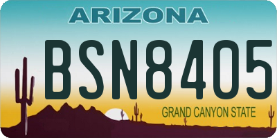 AZ license plate BSN8405