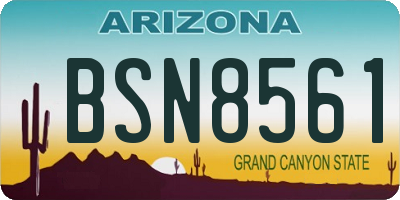 AZ license plate BSN8561