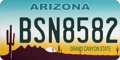 AZ license plate BSN8582