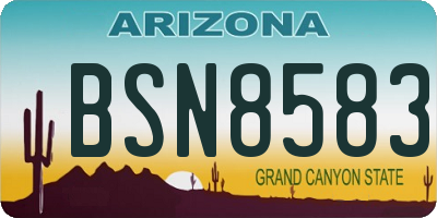 AZ license plate BSN8583