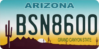 AZ license plate BSN8600
