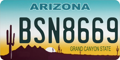 AZ license plate BSN8669