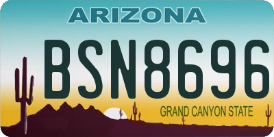 AZ license plate BSN8696