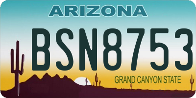 AZ license plate BSN8753