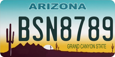 AZ license plate BSN8789