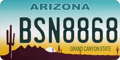AZ license plate BSN8868