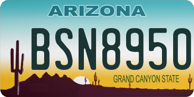 AZ license plate BSN8950