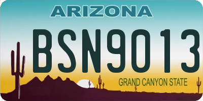 AZ license plate BSN9013