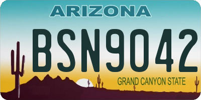 AZ license plate BSN9042