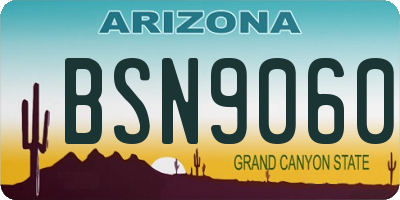 AZ license plate BSN9060