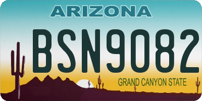 AZ license plate BSN9082