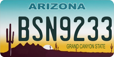 AZ license plate BSN9233