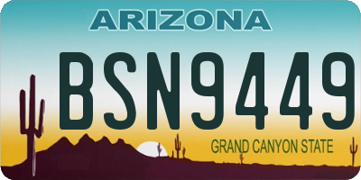 AZ license plate BSN9449