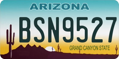 AZ license plate BSN9527