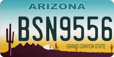 AZ license plate BSN9556