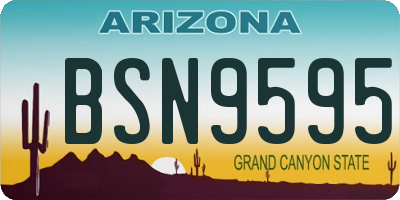 AZ license plate BSN9595