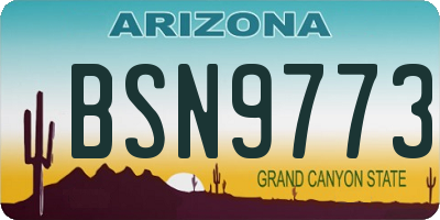 AZ license plate BSN9773