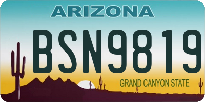 AZ license plate BSN9819