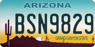AZ license plate BSN9829