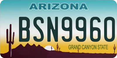 AZ license plate BSN9960