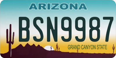 AZ license plate BSN9987
