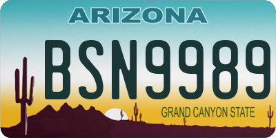 AZ license plate BSN9989