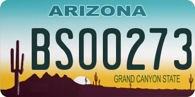 AZ license plate BSO0273