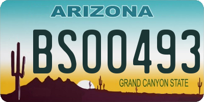 AZ license plate BSO0493