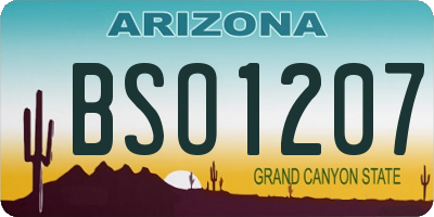 AZ license plate BSO1207