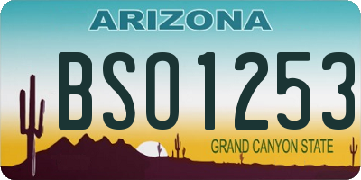 AZ license plate BSO1253