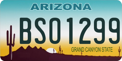 AZ license plate BSO1299