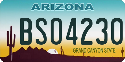 AZ license plate BSO4230