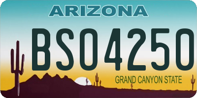 AZ license plate BSO4250