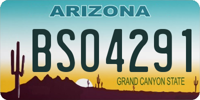 AZ license plate BSO4291