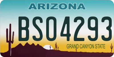 AZ license plate BSO4293