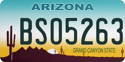 AZ license plate BSO5263