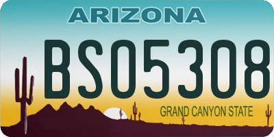 AZ license plate BSO5308