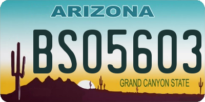 AZ license plate BSO5603