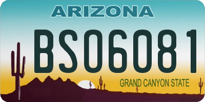 AZ license plate BSO6081