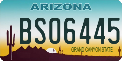 AZ license plate BSO6445